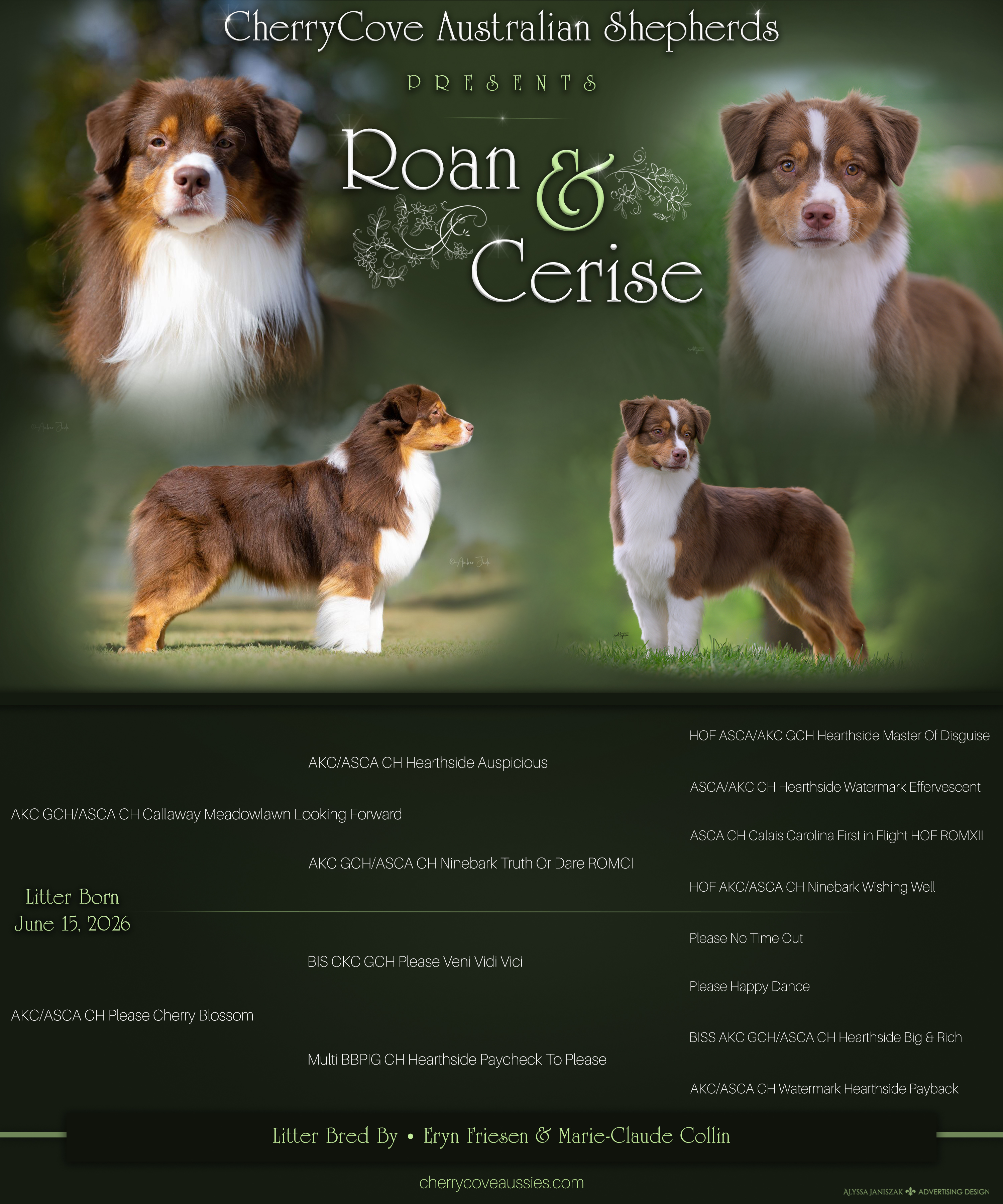 Roan & Cerise litter announcement — born June 15, 2026